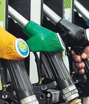 petrol-3.jpg