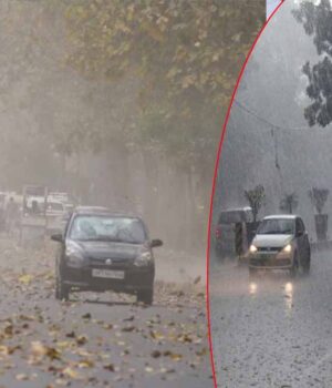 rain_67_3.jpg