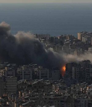 sbi_report_2.jpg