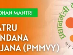 मध्यप्रदेश में महिला-नेतृत्व विकास को नई दिशा, प्रधानमंत्री मातृ वंदना योजना ने 91% लक्ष्य हासिल किया