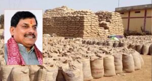 मुख्यमंत्री डॉ. यादव ने बताया, गेहूं उपार्जन का लक्ष्य बढ़ाने को लेकर भारत सरकार से बातचीत जारी