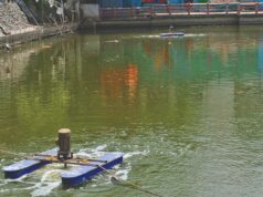 तालाबों में पानी की गुणवत्ता सुधारने के लिए निगम की नैनो एरेटर तकनीक, 10 दिन में क्षीरसागर में दिखा बदलाव