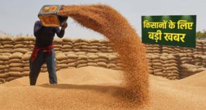 प्रदेश में किसानों के लिए अच्छी खबर, गेहूं उपार्जन की तारीख बढ़ी, जानें ताजा अपडेट