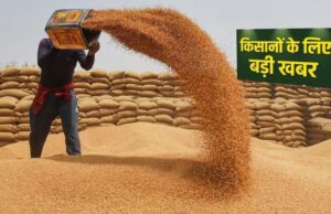 प्रदेश में किसानों के लिए अच्छी खबर, गेहूं उपार्जन की तारीख बढ़ी, जानें ताजा अपडेट