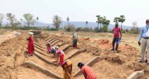 मनरेगा ई-केवाईसी में छत्तीसगढ़ की बड़ी उपलब्धि, 97.11% श्रमिकों को मिला लाभ