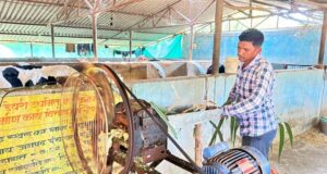 6 गायों से शुरू किया था डेयरी का सफर अब 25 गायों तक पहुंचा