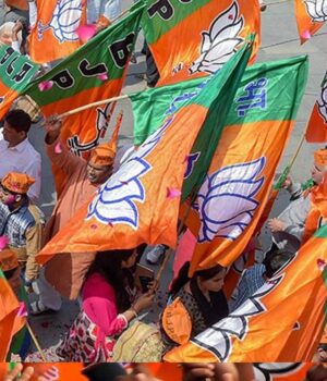 bjp_A_79_2-4.jpg