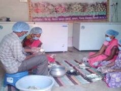 सीताफल उत्पादन और प्रसंस्करण से महिला समूहों की आर्थिक उन्नति