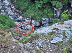 हिमाचल सड़क हादसा: साच पास मार्ग पर गहरी खाई में गिरा वाहन, आठ लोगों की जान गई