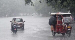 एमपी में 17 जिलों में बारिश-ओले का अलर्ट, भोपाल में आंधी से पेड़ उखड़े; 4 मई तक मौसम रहेगा खराब