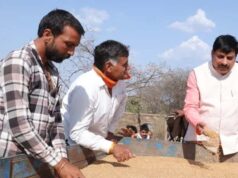किसानों के लिए बड़ा ऐलान, बुक स्लॉट वालों से 28 मई तक खरीदेगी सरकार गेहूं
