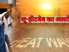 मध्य प्रदेश तपकर बना तंदूर, जानवरों को बचाने खास इंतजाम; 6 जिलों में रेड अलर्ट