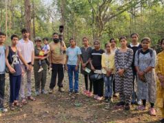 छत्तीसगढ़ के बारनवापारा में दुर्लभ विशाल भारतीय गिलहरी का दीदार, जंगल में बढ़ी हलचल