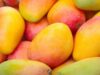 Japan Mango Ban: भारत को बड़ा झटका! जापान में इस खास आम का सबसे ज्यादा चलता है स्वाद
