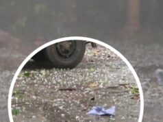 एमपी के कई जिलों में बारिश और ओले, मौसम वैज्ञानिकों का कहना- 8 मई तक यही हाल