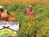 Tribal women are becoming stronger through Van Dhan Kendras, an example of women’s empowerment.