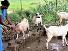धमतरी के भटगांव को मिलेगी नई पहचान, इनोवेशन हब के रूप में होगा विकसित