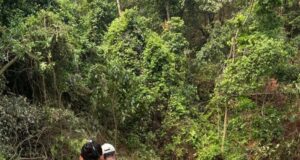 दुर्गम रास्तों को पार कर स्वास्थ्य अमला पहुंचा गांव, सैकड़ों लोगों को मिला उपचार
