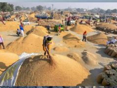 धान खरीद ने पकड़ी रफ्तार, मंडी में इस बार टूटा पिछले साल का रिकॉर्ड