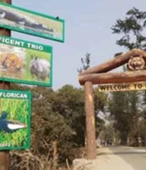 Chhattisgarh_News_02-1-14.jpg