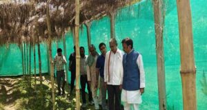 उप मुख्यमंत्री ने किया प्राकृतिक खेती का निरीक्षण