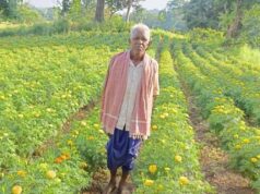 गेंदा उत्पादन से कोड़केल के किसान ने पेश की सफलता की मिसाल