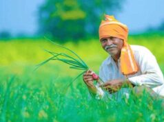 वैज्ञानिक खेती की ओर बढ़ते कदम, नैनो उर्वरकों से किसानों को मिल रहा फायदा