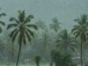 अरब सागर की परिस्थितियों ने बिगाड़ा मॉनसून का गणित, IMD का बड़ा अपडेट