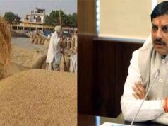 गेहूं उपार्जन में मध्यप्रदेश देश में दूसरे स्थान पर