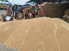 गेहूं निर्यात में मध्यप्रदेश बना देश का अग्रणी राज्य, 40 फीसदी हिस्सेदारी
