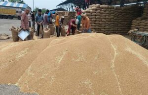 गेहूं निर्यात में मध्यप्रदेश बना देश का अग्रणी राज्य, 40 फीसदी हिस्सेदारी