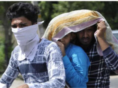 MP Weather Update: 42 जिलों में लू का कहर, टीकमगढ़ समेत कई इलाकों में रेड अलर्ट जारी