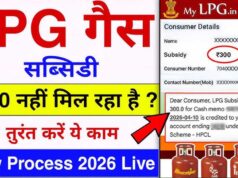 LPG Subsidy: 10.55 करोड़ से अधिक लाभार्थियों को मिल रहा फायदा, ऐसे मिलेगा ₹300 सस्ता सिलेंडर