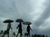 गर्मी से राहत का इंतजार खत्म, मानसून पहुंचा भारत; जानें यूपी-बिहार में कब बरसेंगे बादल