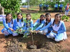 ग्रीन ग्रोथ का मॉडल बना छत्तीसगढ़, जल संरक्षण और जनसहभागिता से सशक्त हो रहा पर्यावरण