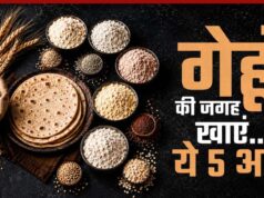 गेहूं का हेल्दी विकल्प: 5 हाई-फाइबर आटे जो बढ़ाएं सेहत