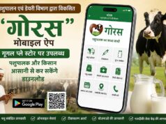 अब पशुपालकों को मोबाइल पर ही मिलेगी पशुओं को संतुलित आहार खिलाने की जानकारी