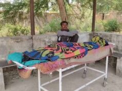 धमतरी: अचानक टूट पड़ा मधुमक्खियों का झुंड, सास की मौत और दामाद गंभीर घायल