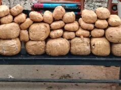 पुलिस की बड़ी कार्रवाई, ओडिशा-राजस्थान रूट पर 1.44 करोड़ की गांजा खेप बरामद