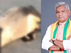 छत्तीसगढ़ में हादसे के बाद एक्शन, गौ सेवा आयोग अध्यक्ष की कार से टकराने वाले दो युवक गिरफ्तार