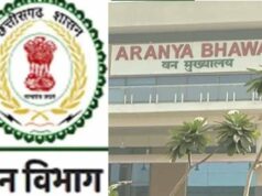 वन विभाग में उच्चस्तरीय नियुक्तियां, छत्तीसगढ़ सरकार ने चार वरिष्ठ IFS अधिकारियों को सौंपी नई जिम्मेदारी