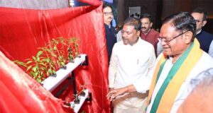 सीमित संसाधनों में बेहतर उत्पादन का नया मॉडल बनी आधुनिक खेती