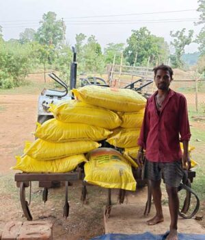fASAL_01.jpg