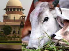 तमिलनाडु गौहत्या विवाद में सुप्रीम कोर्ट का हस्तक्षेप, राज्य सरकार की मांग को मिली राहत, HC का आदेश बदला