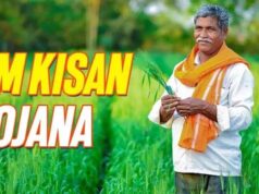 करोड़ों किसानों को 24वीं किस्त का इंतजार, सरकार ने राशि बढ़ाने पर दिया जवाब
