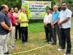 उज्जैन: माधव महाविद्यालय की पूर्व छात्रपरिषद का पर्यावरण अभियान, वाणिज्य अध्ययन शाला में लगाए पौधे