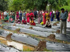 किसानों के लिए वरदान बनेगी ग्राफ्टेड सब्जियां, धमतरी में वैज्ञानिक प्रशिक्षण से मिली आधुनिक खेती की जानकारी