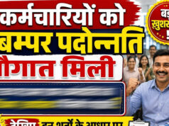 MSME विभाग में एक दशक बाद बड़ा फैसला, 217 कर्मचारियों का प्रमोशन और 116 नए पदों पर भर्ती के आदेश जारी