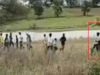 बड़वानी का VIDEO वायरल! युवती को जबरन बाइक पर ले गए 30 युवक, पुलिस बोली- ‘देजा’ प्रथा से जुड़ा हो सकता है मामला