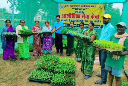 नर्सरी से सशक्त हो रहे किसान और महिला समूह